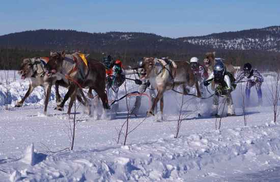 Visit Finland -Trepidante carrera de renos sobre el lago Inari